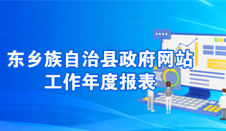 东乡县政府网站工作年度报表
